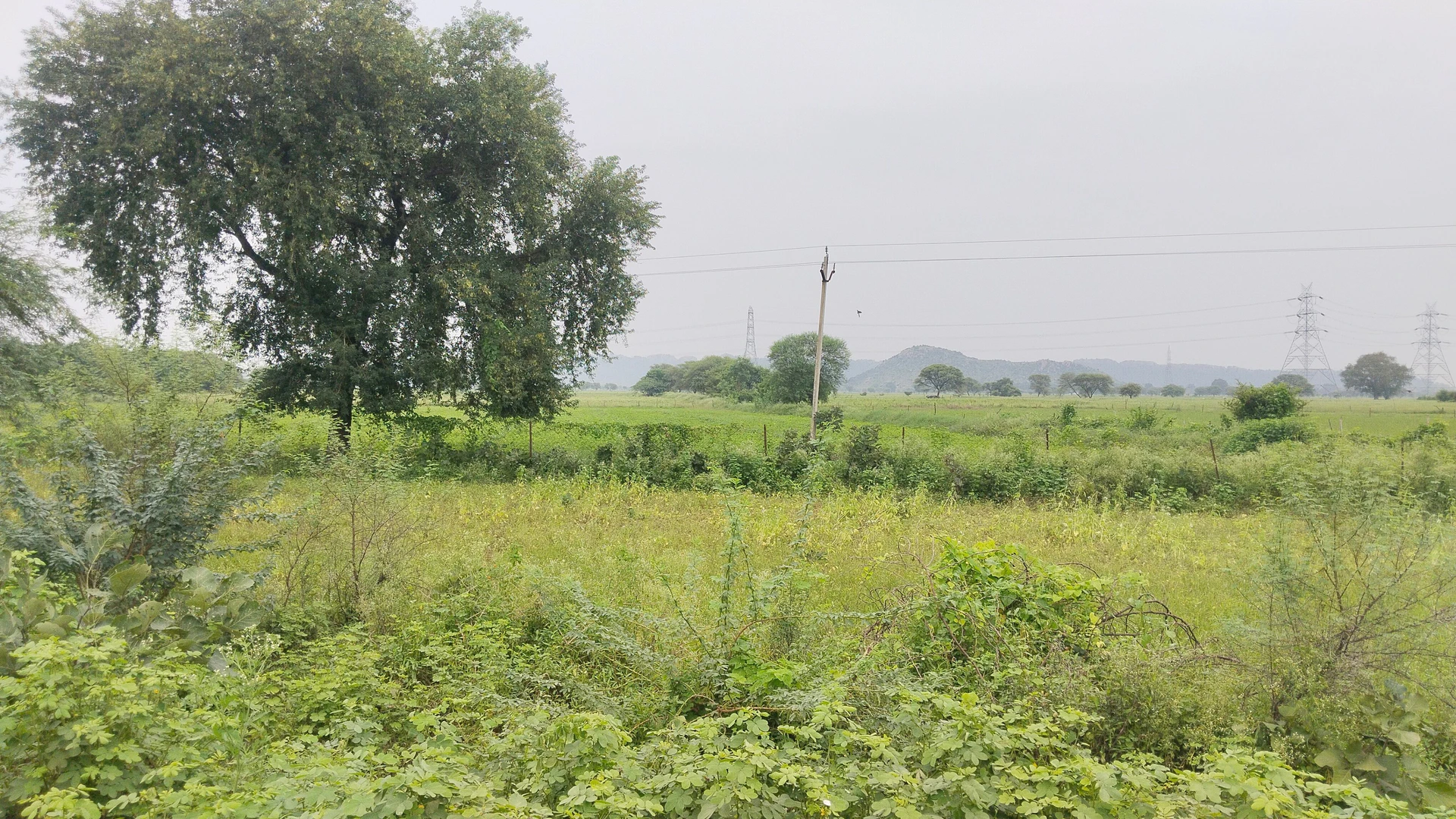 Bamhauri, Jhansi, Uttar Pradesh 284204, India