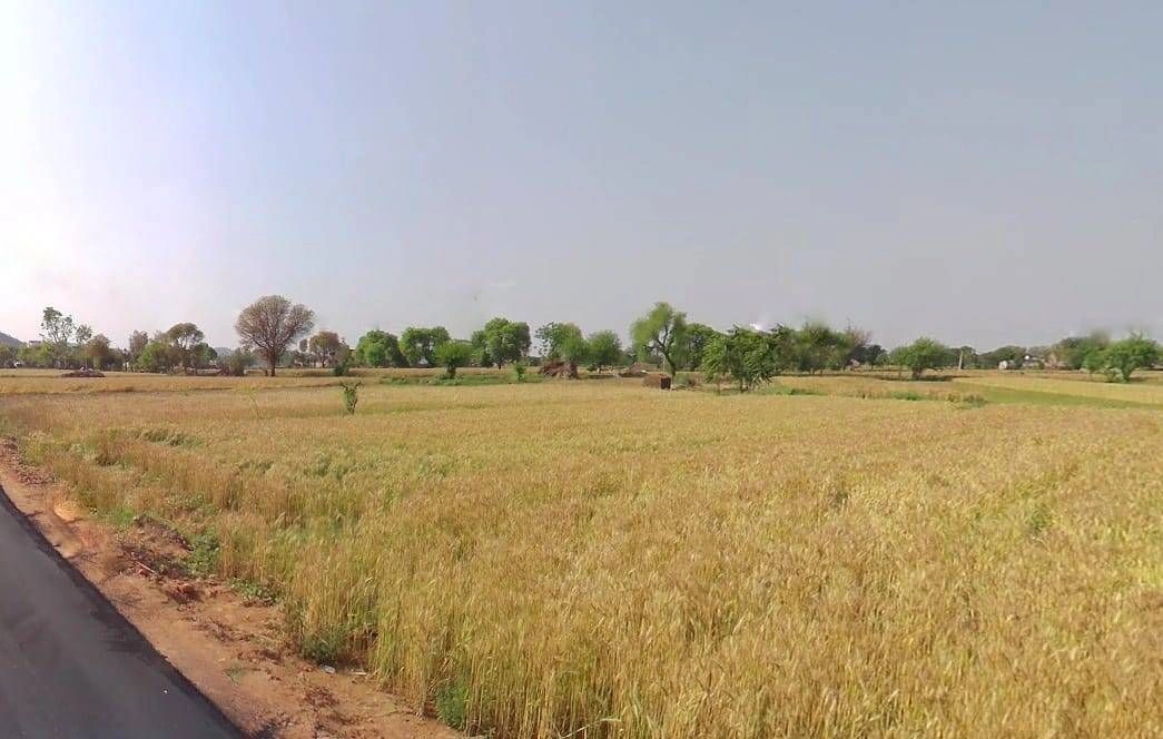 Baghora, Rajasthan 301405, India preview 2