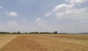 Lodhma, Jharkhand 834004, India preview 3