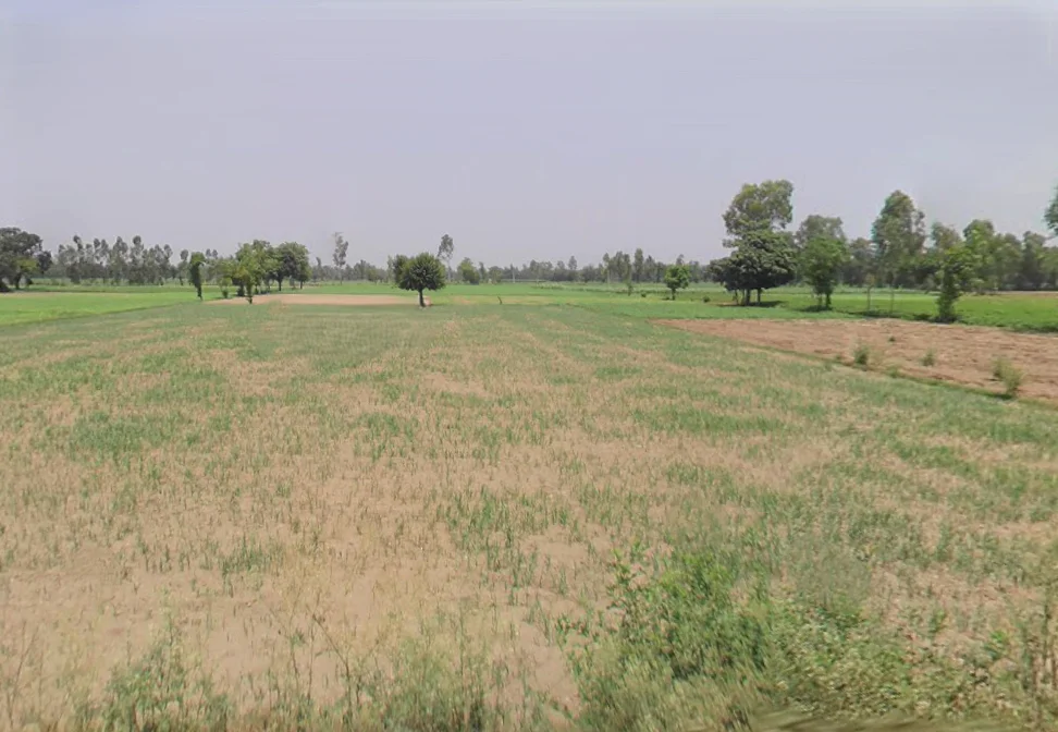 Dhanaura, Uttar Pradesh 244231, India preview 2