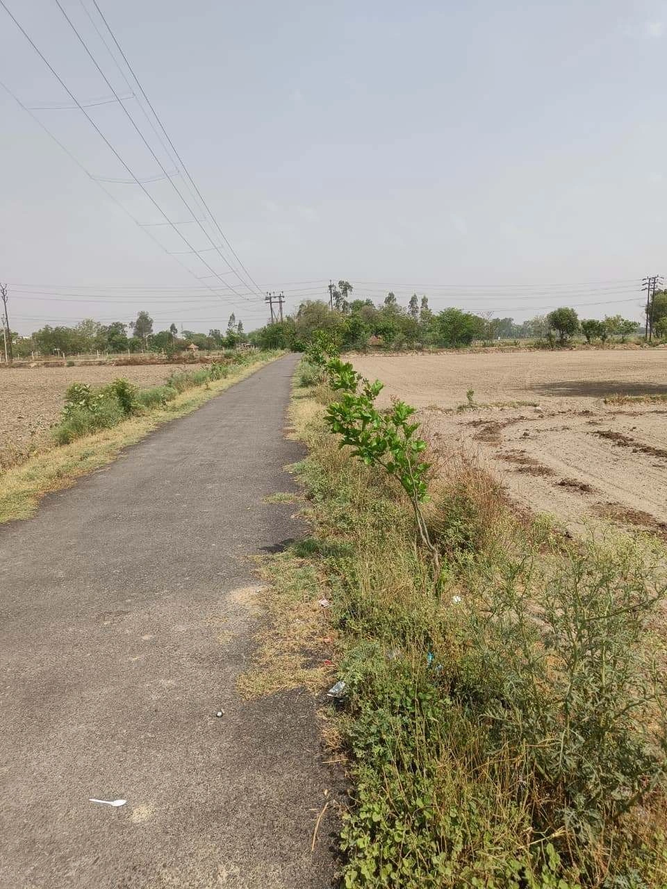 Aou, Rajasthan, India