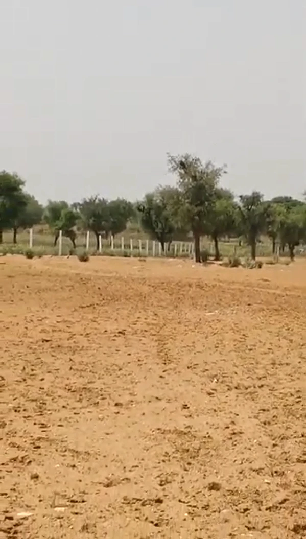 CJJH+5X7, Sikar, Mau, Rajasthan 332715, India
