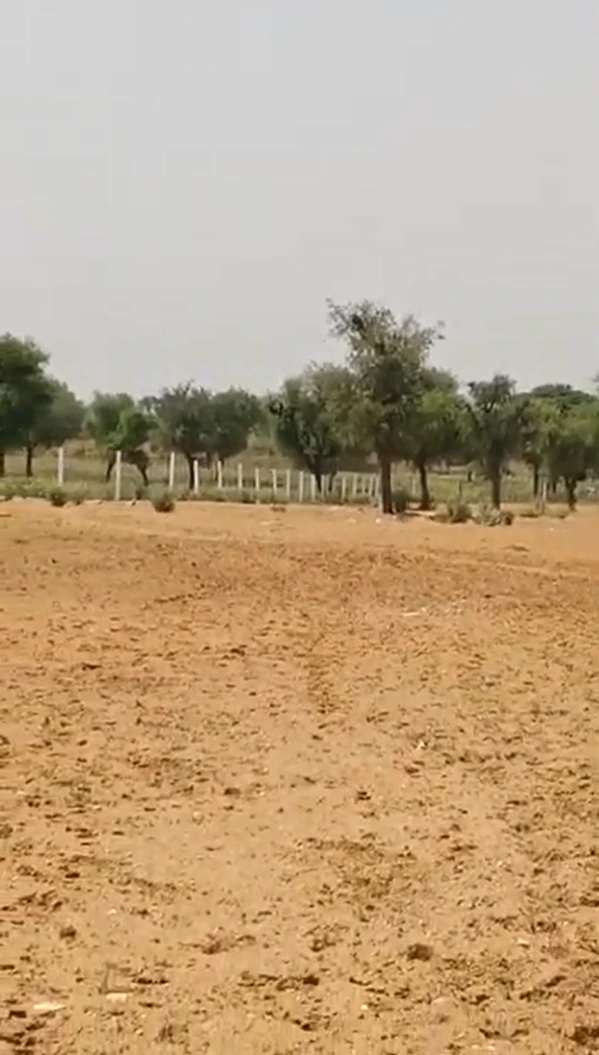 CJJH+5X7, Sikar, Mau, Rajasthan 332715, India