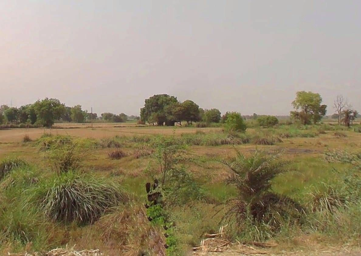 8QWC+PHR, Old G.T. Rd, Dhanaura, Uttar Pradesh 203203, India preview 3