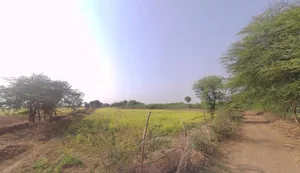 Tisang, Uttar Pradesh 251314, India preview 2