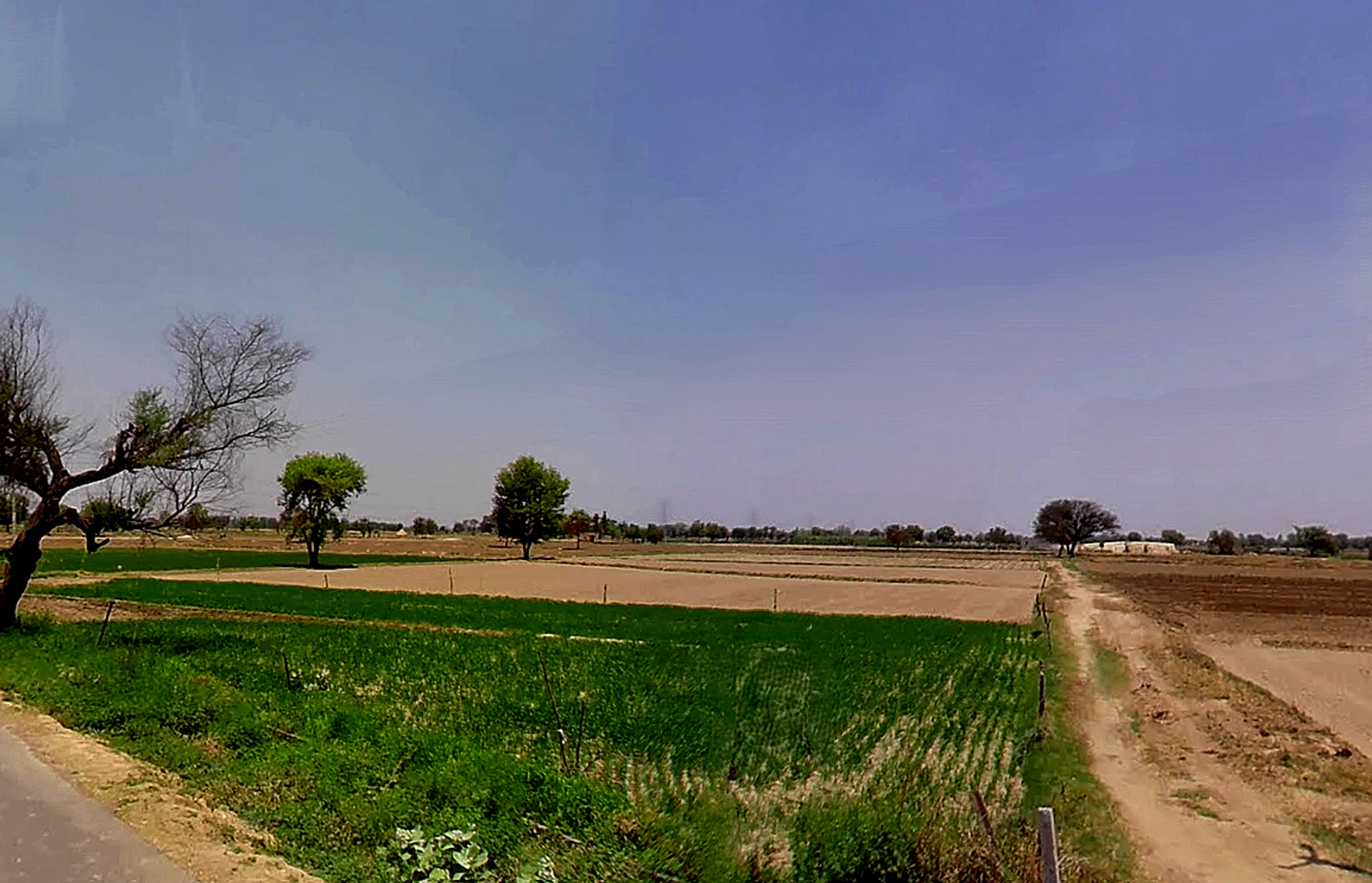 Kharkhara, Haryana 125121, India