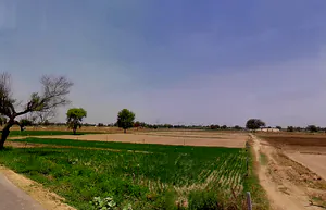 Kharkhara, Haryana 125121, India preview 2