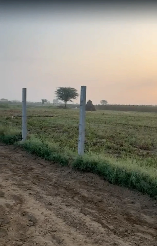 63HF+55, Moth Karnail Shab, Haryana 125039, India