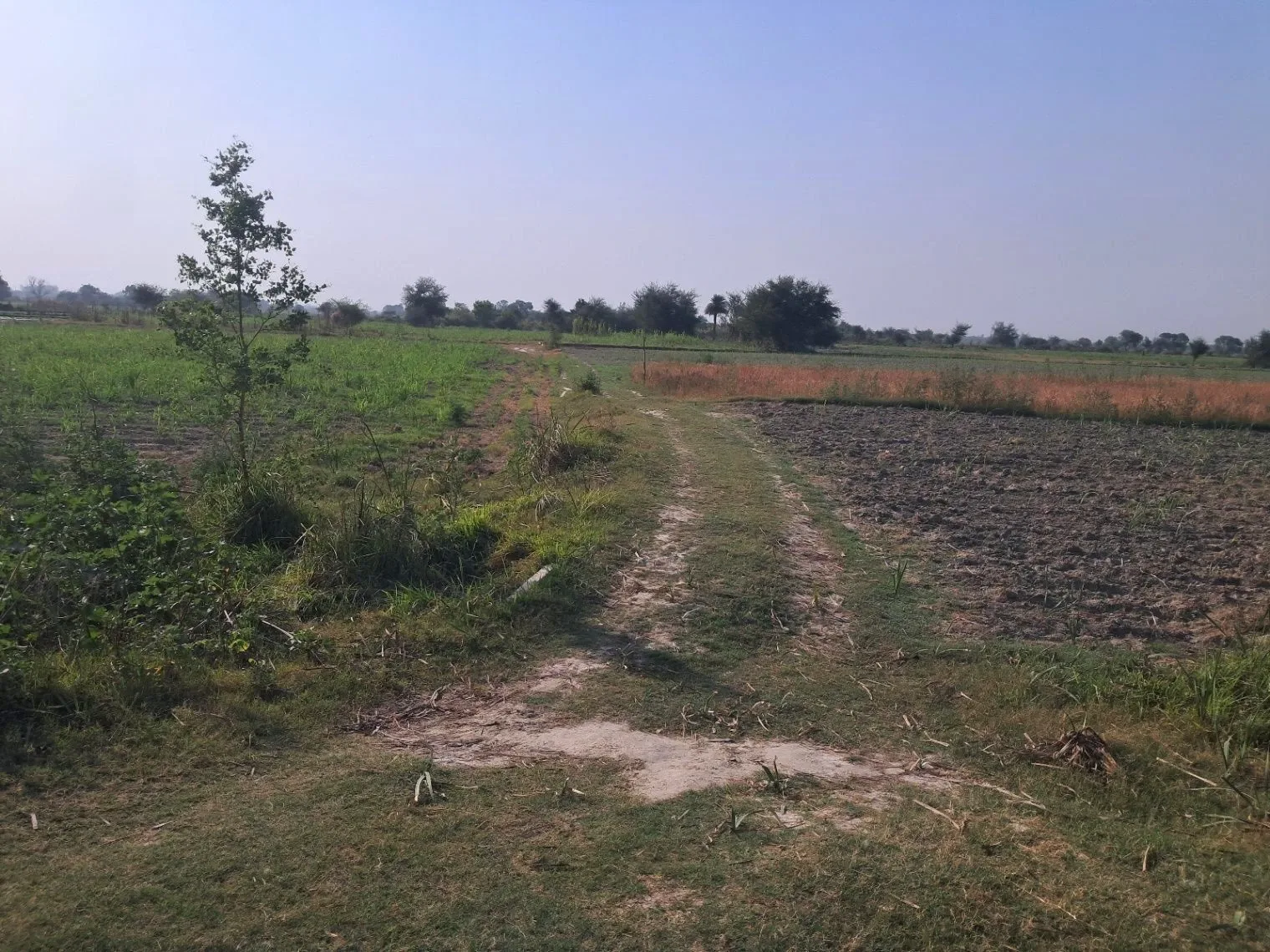 P6RV+2W Mohtarim Pur Uparhar, Uttar Pradesh, India