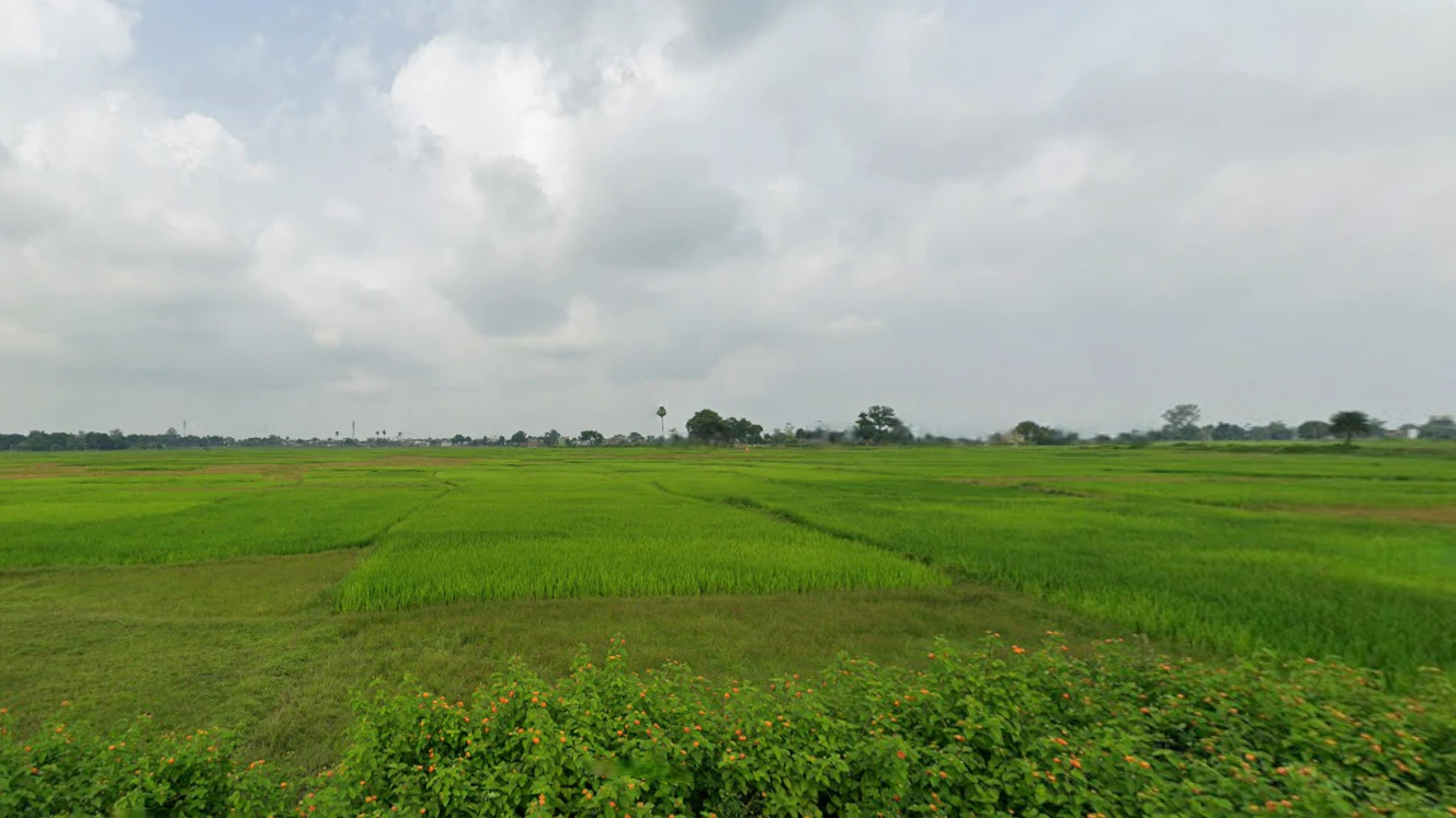 Bhadua, Jharkhand 822115, India