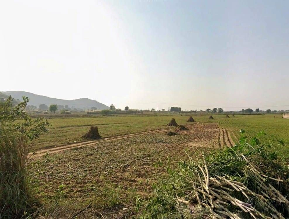 2VCC+P8V, Bhatkol, Khidarpur, Rajasthan 301411, India