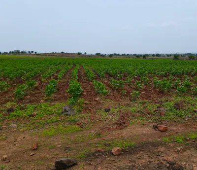 Sadhaura, Yamunanagar, Haryana 133204, India preview 2