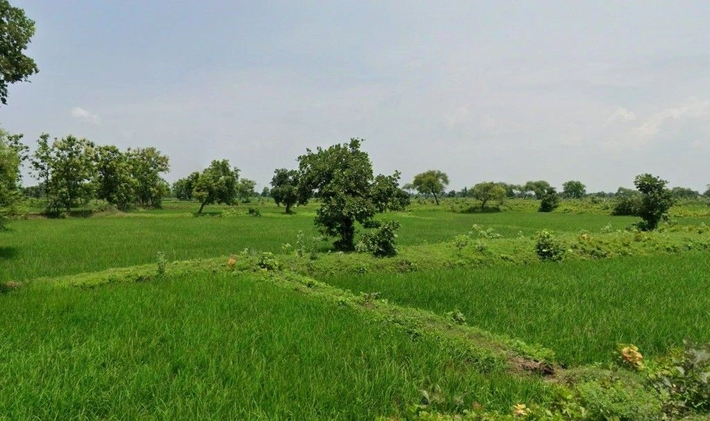 Bori, Chhattisgarh 491441, India