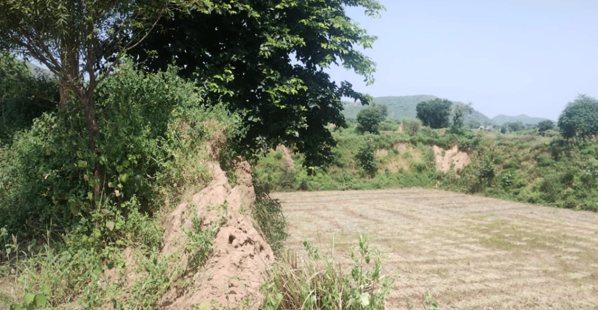 Seona, Patiala, Punjab 147006, India