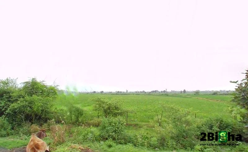 QF2J+FM9, Salkanpur, Madhya Pradesh 466446, India preview 3