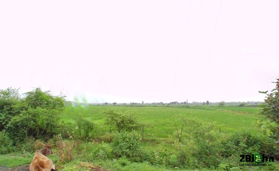 QF2J+FM9, Salkanpur, Madhya Pradesh 466446, India