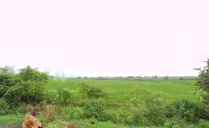QF2J+FM9, Salkanpur, Madhya Pradesh 466446, India preview 3