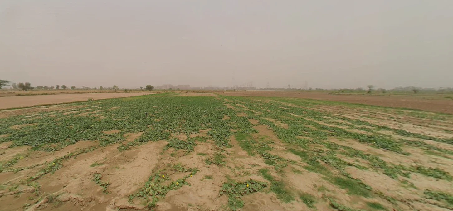 6 06, Sahejpur, Rajasthan 301026, India