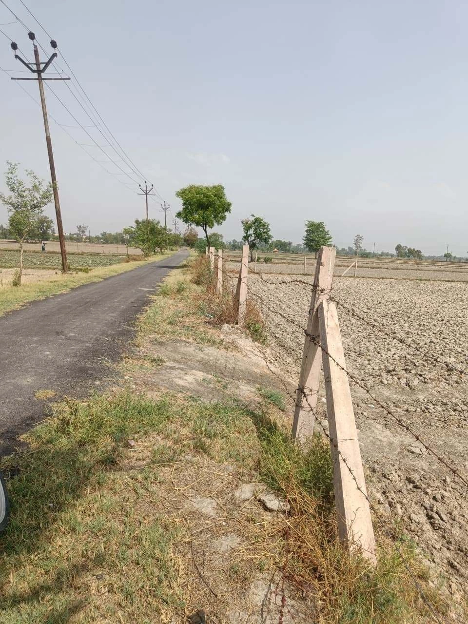 Aou, Rajasthan, India
