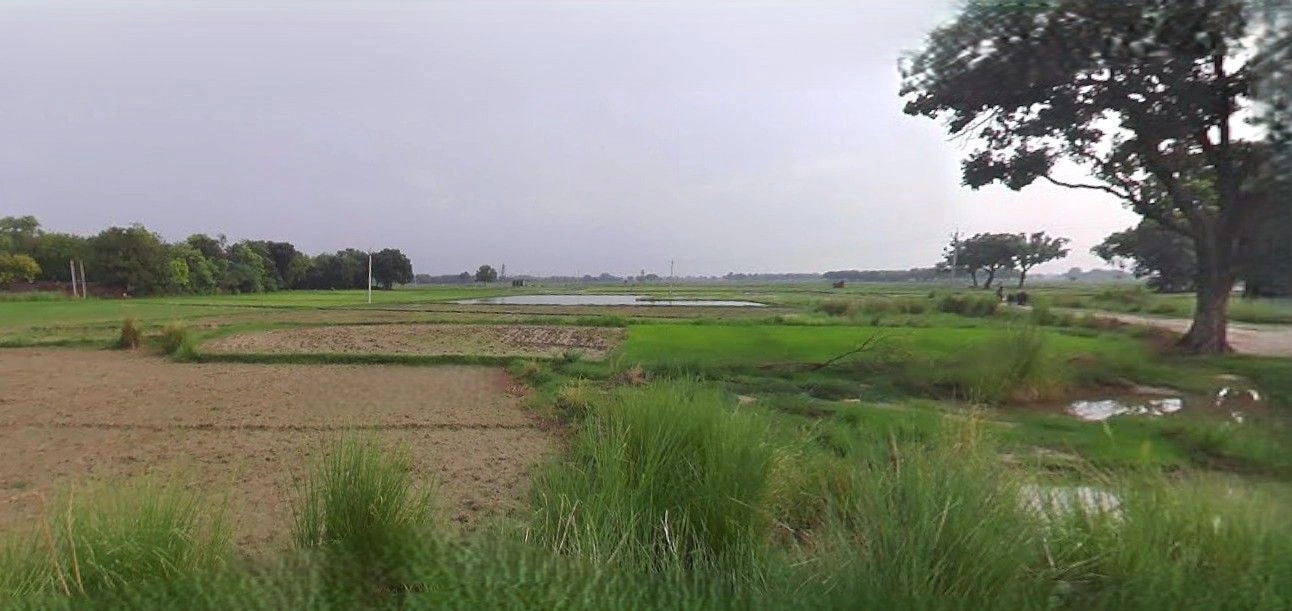 Rampur Maniharan, Uttar Pradesh 247451, India