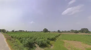 Panjan Pahari, West Bengal, India preview 2