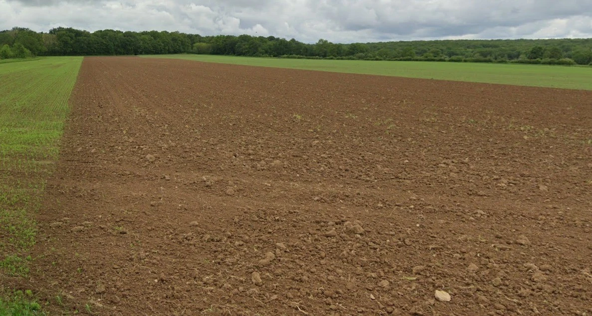 Panjra Kashiram, Madhya Pradesh 464672, India