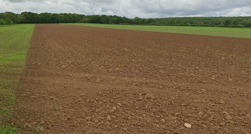 Panjra Kashiram, Madhya Pradesh 464672, India preview 3