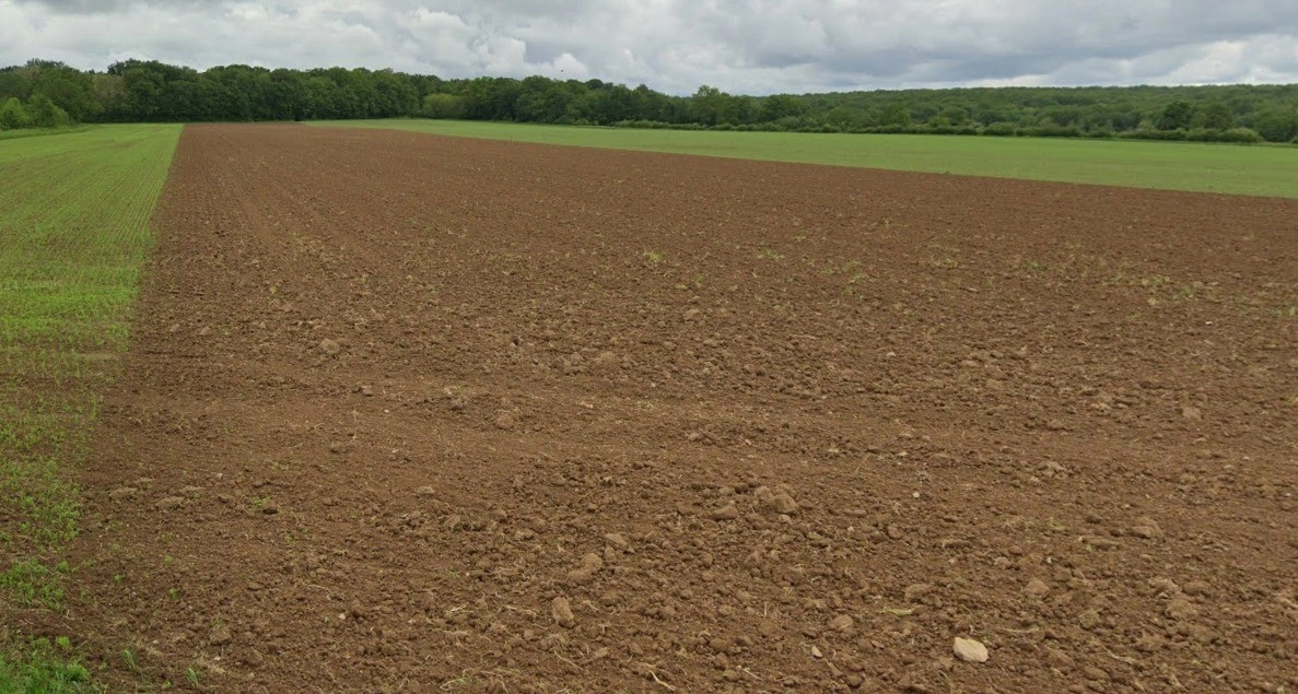 Panjra Kashiram, Madhya Pradesh 464672, India