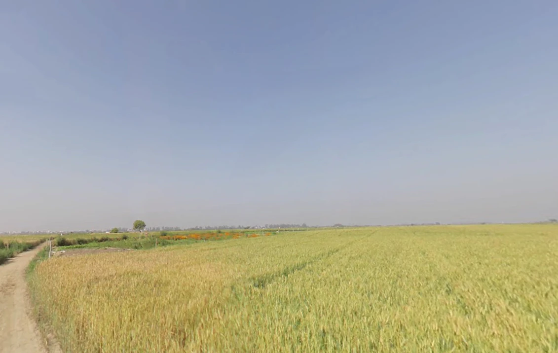 Wazirabad, Delhi, India