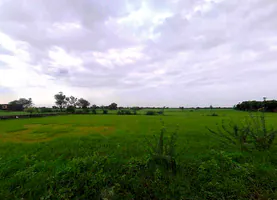 Sikari, Rajasthan 321024, India preview 3