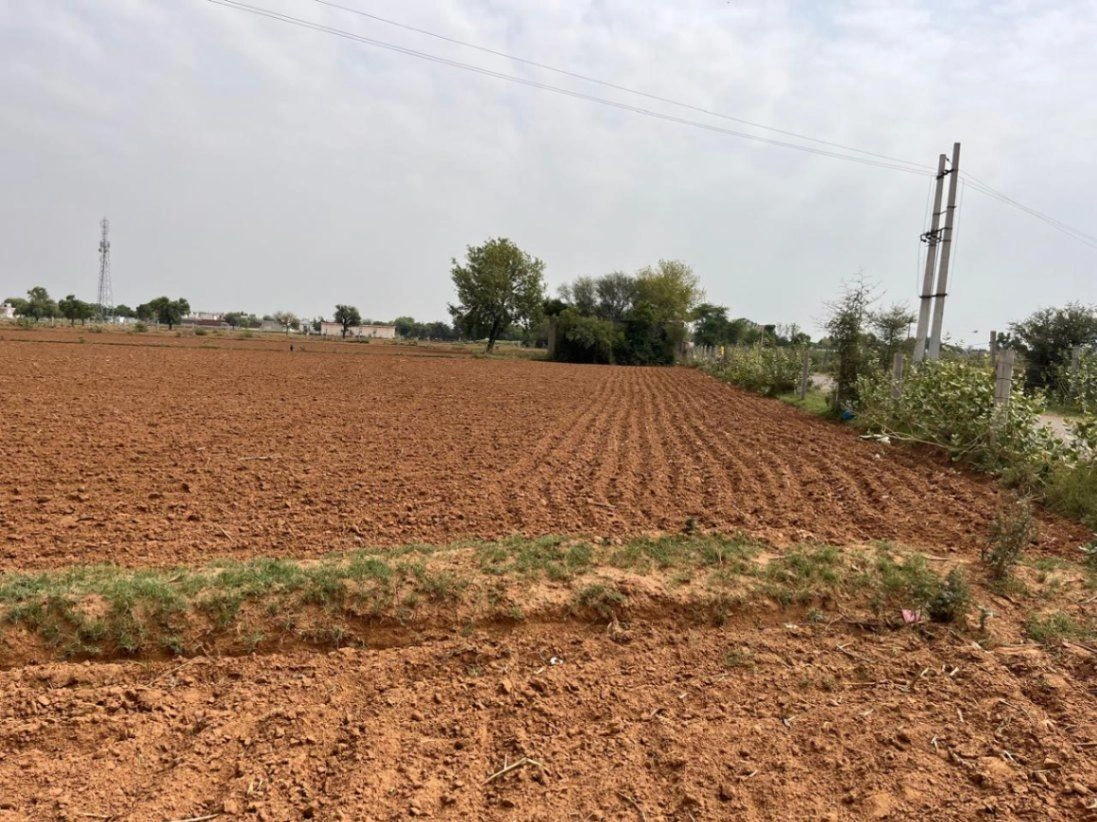Chaudhari Wali, Haryana 125004, India