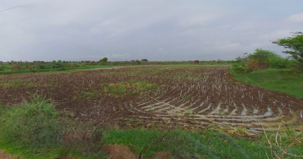 Budaun, Uttar Pradesh 243601, India