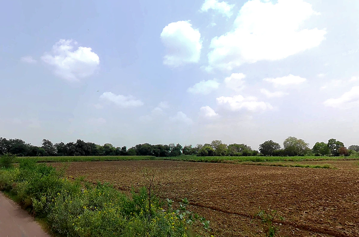 Charkhi Dadri, Haryana 127306, India