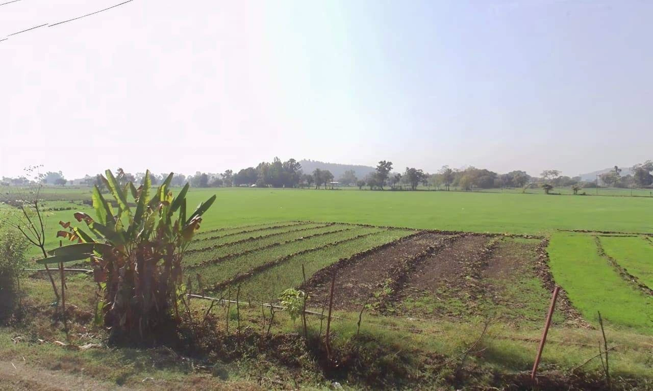 Gol Khedi, Madhya Pradesh 462038, India