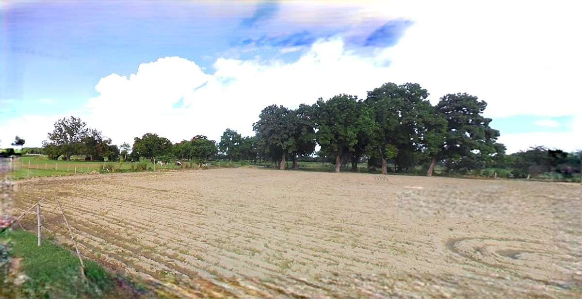 Rewari, Haryana 123401, India