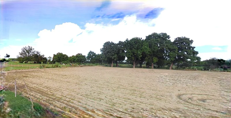 Rewari, Haryana 123401, India preview 2