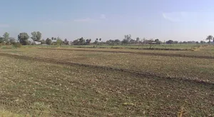 Adampur, Madhya Pradesh, India preview 2