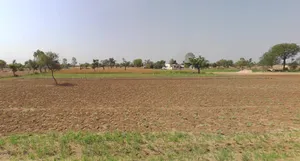 Aama, Rajasthan 311025, India preview 2