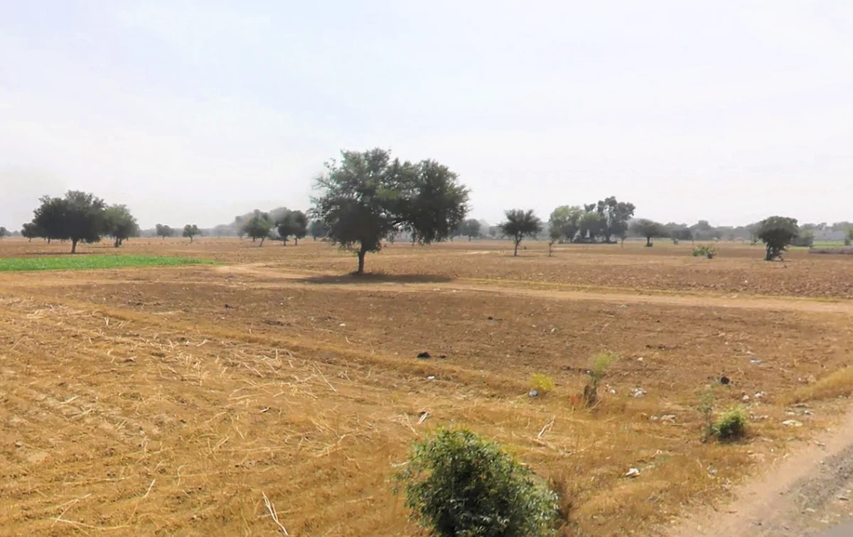 Jaisinghpur Khera, Haryana 123501, India