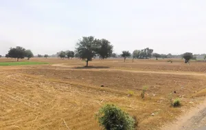Jaisinghpur Khera, Haryana 123501, India preview 3