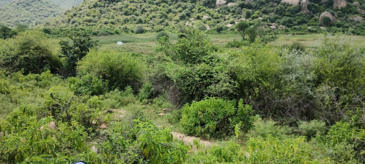 Dadhikar, Rajasthan 301001, India