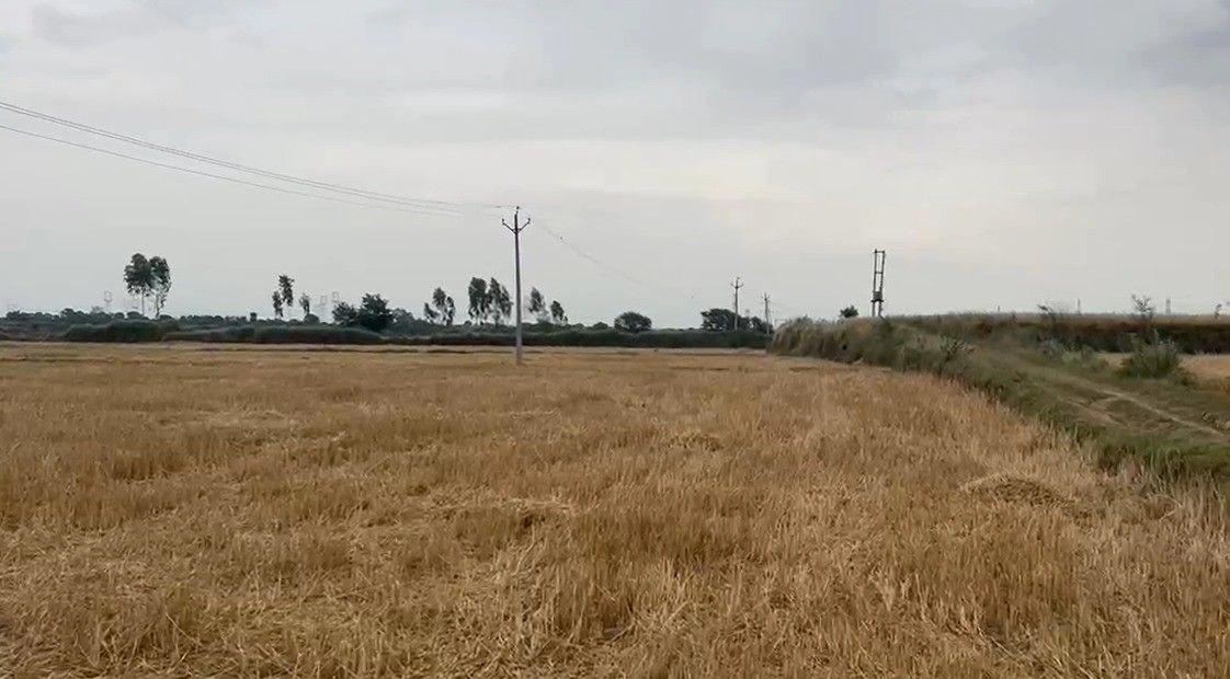 Sheetalpur, Madhya Pradesh 483119, India