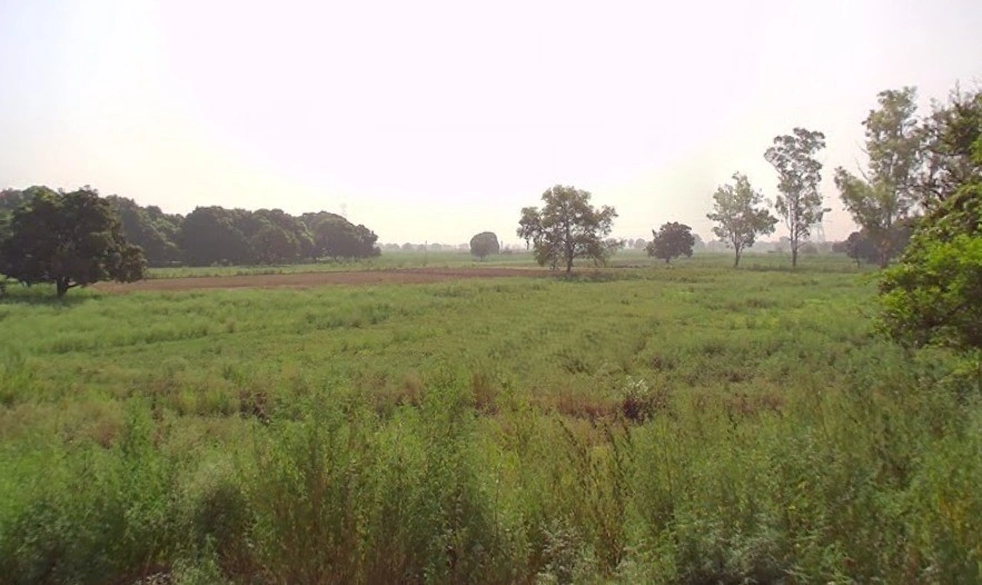 Murlipur, Uttar Pradesh 250004, India