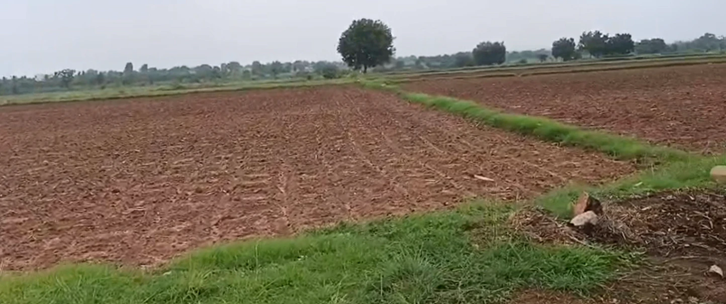 4FH7+2C Thummaloor, Ranga Reddy, Telangana, India