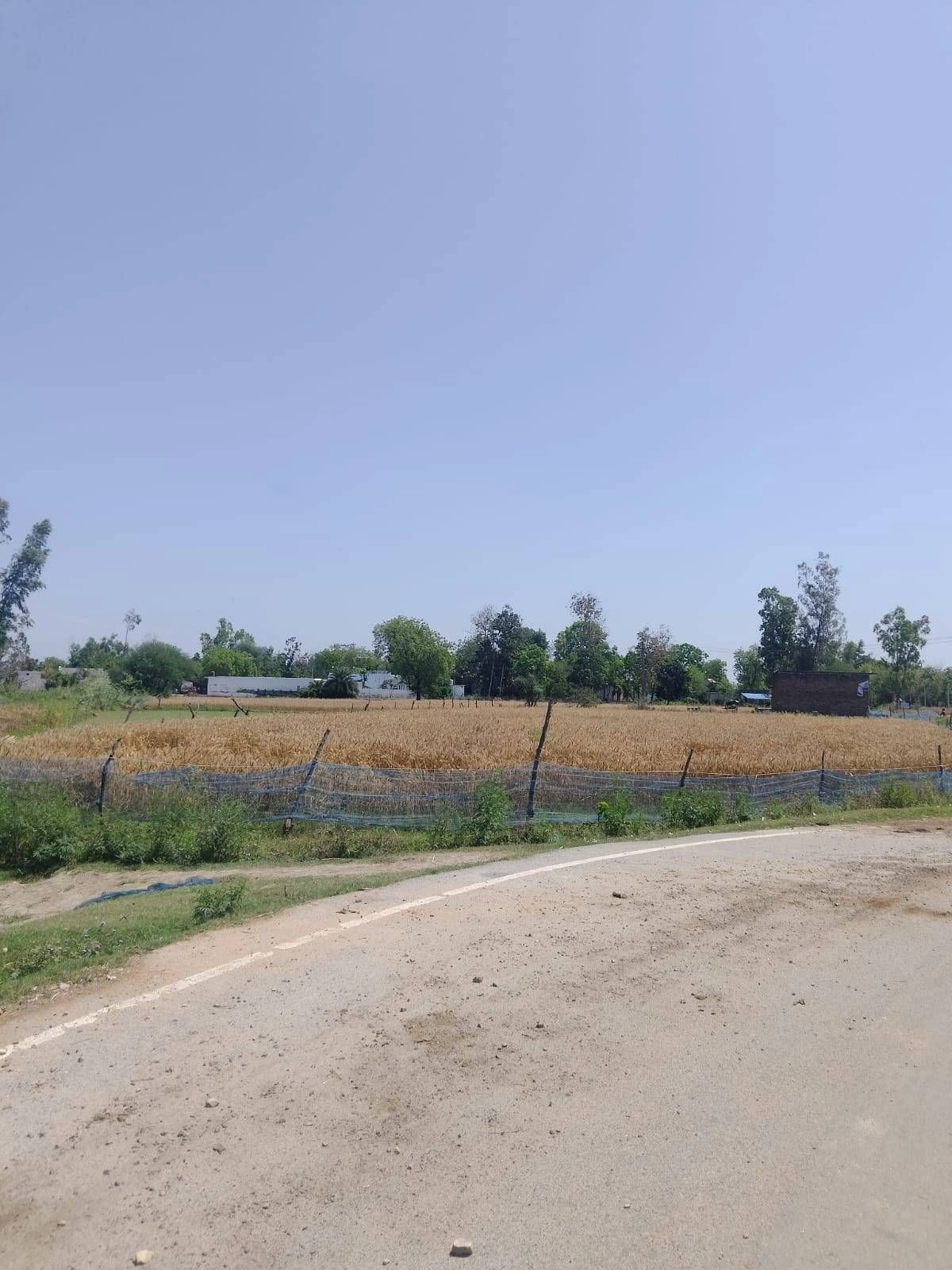 Purwa, Uttar Pradesh, India preview 2