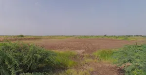 Navagam, Gujarat 382465, India preview 3