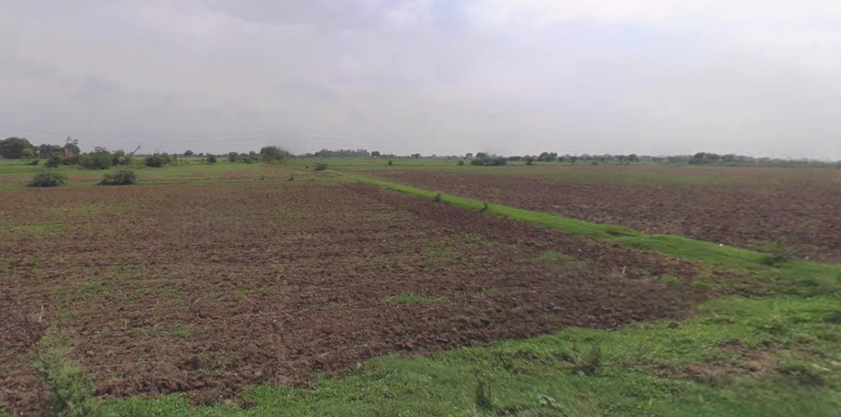 Charkhi Dadri, Haryana 127306, India