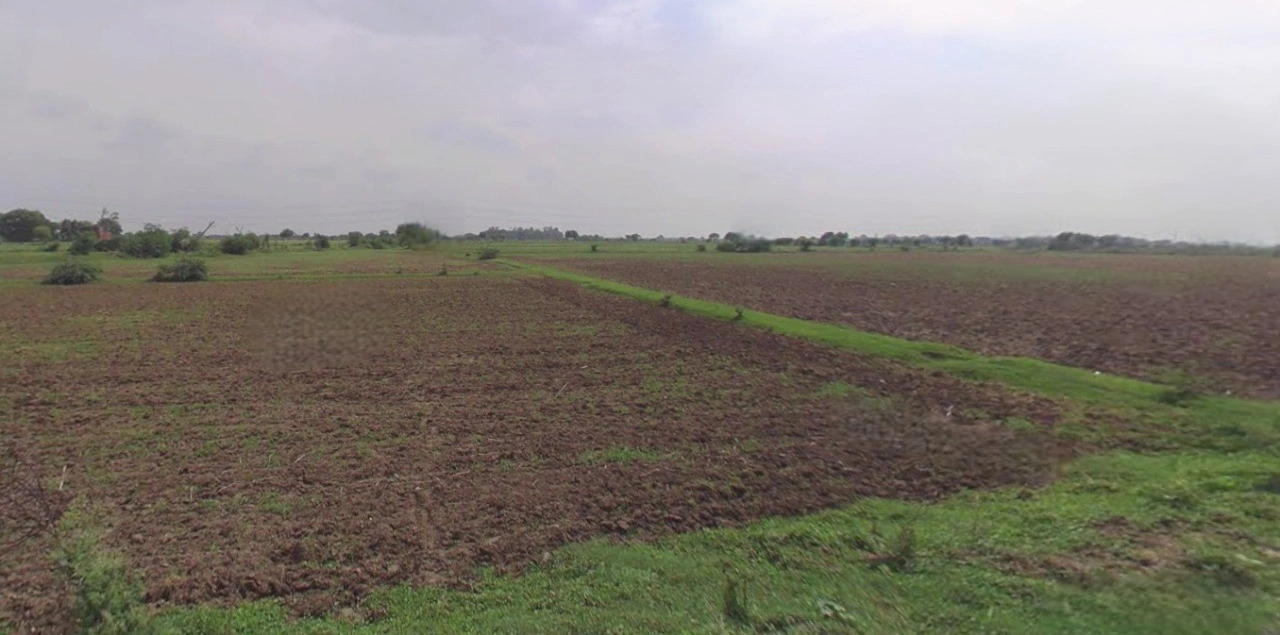 Charkhi Dadri, Haryana 127306, India