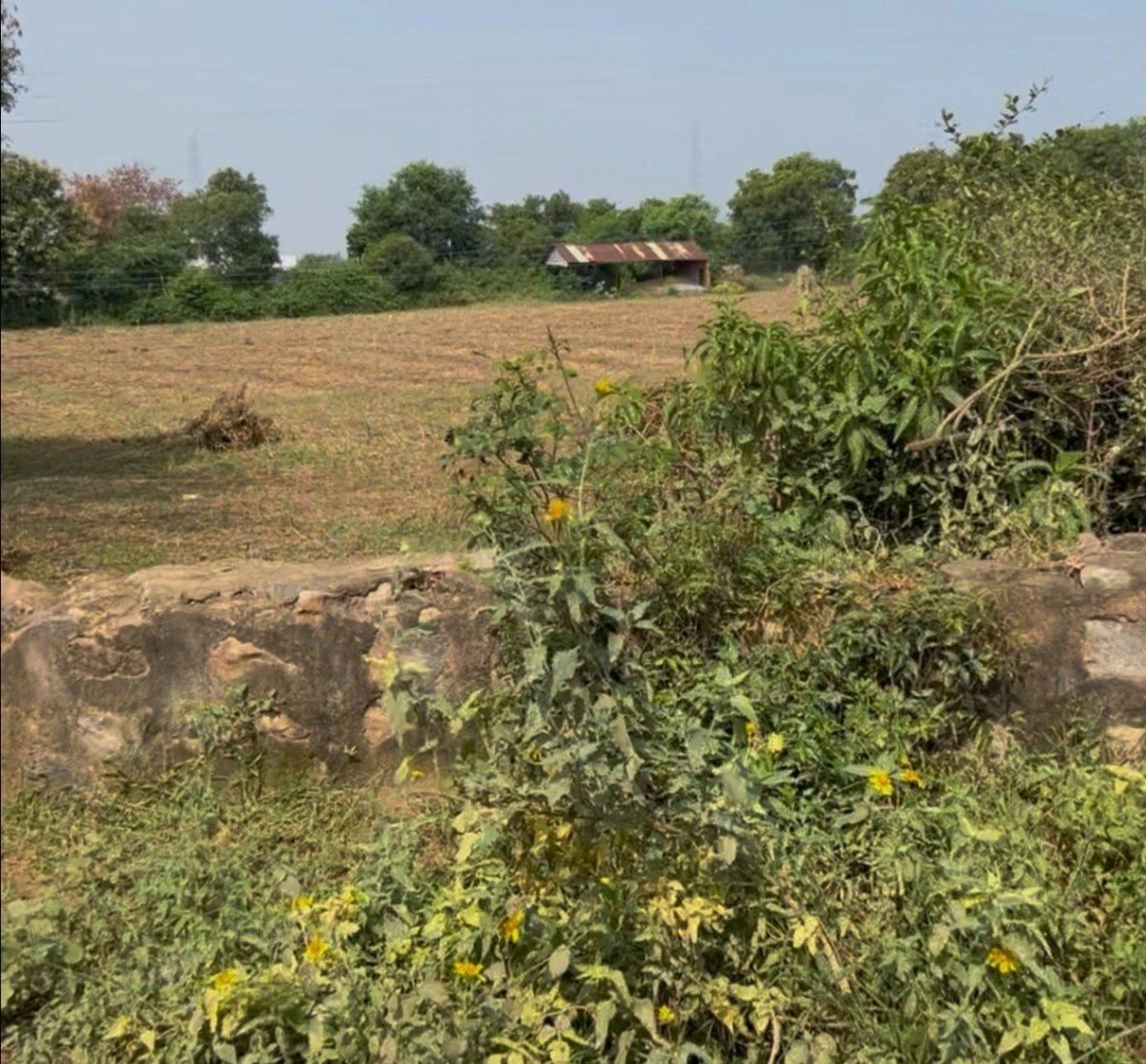 72H4+JM Bhango, Nuh, Haryana, India