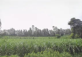 Nakur, Uttar Pradesh 247342, India preview 2